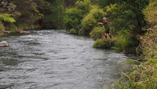 Trout fishing in the Tarawera River