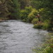 Tarawera River 2